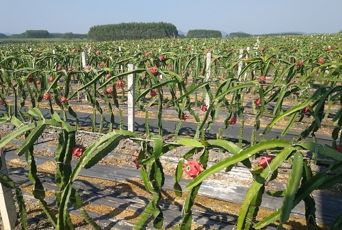 1644825676222442.png image.png