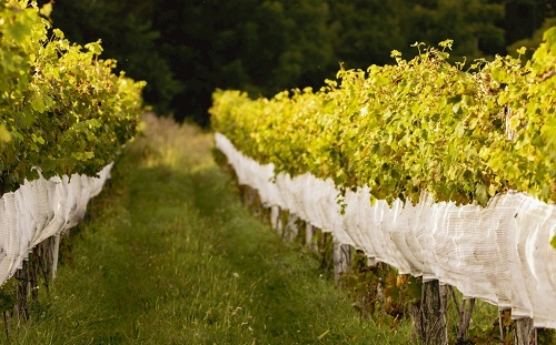 1674198204196371.png image.png