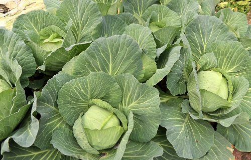 1676441802130416.png image.png