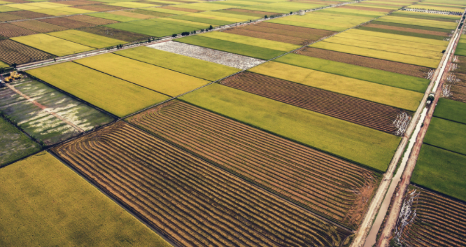 1679463372100608.png 1679463372100608.png