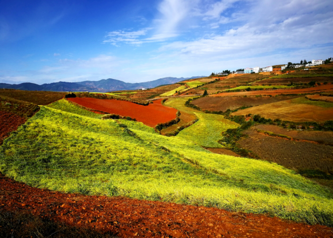 1680505910114798.png 如何使用土壤酸堿度測量儀?