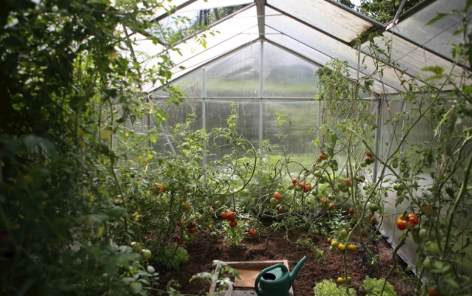 1683349874657032.png 1683349874657032.png